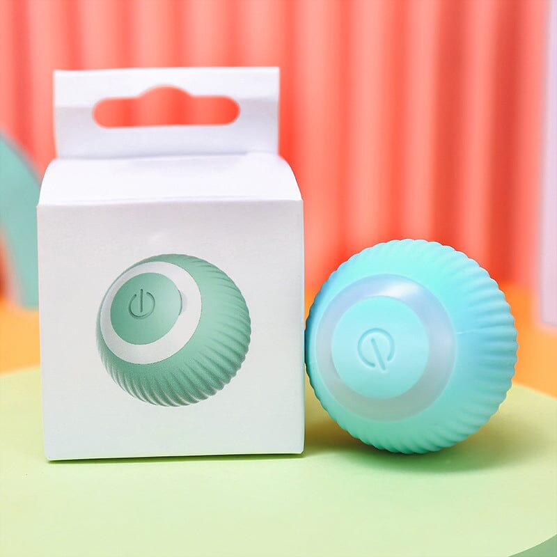 Fun Electronic Pet Ball Toy
