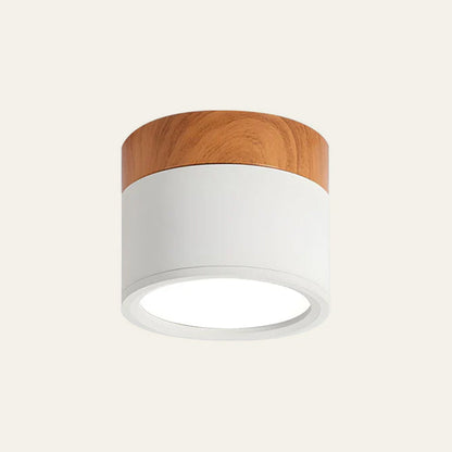 Slim LED Ceiling Light – Modern Overhead Lamp for Home