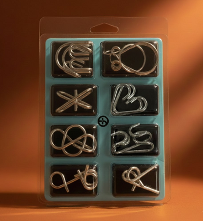 Brain Teaser Metal Puzzle Toy for Kids