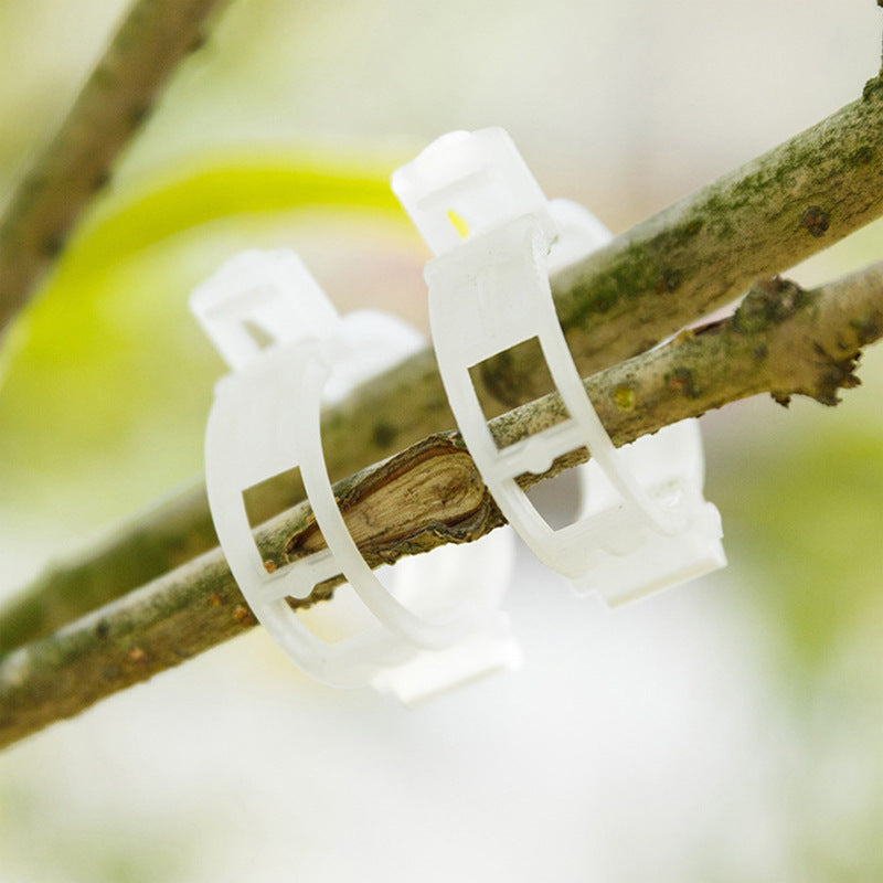 Easy Plant Stem Clip Holder