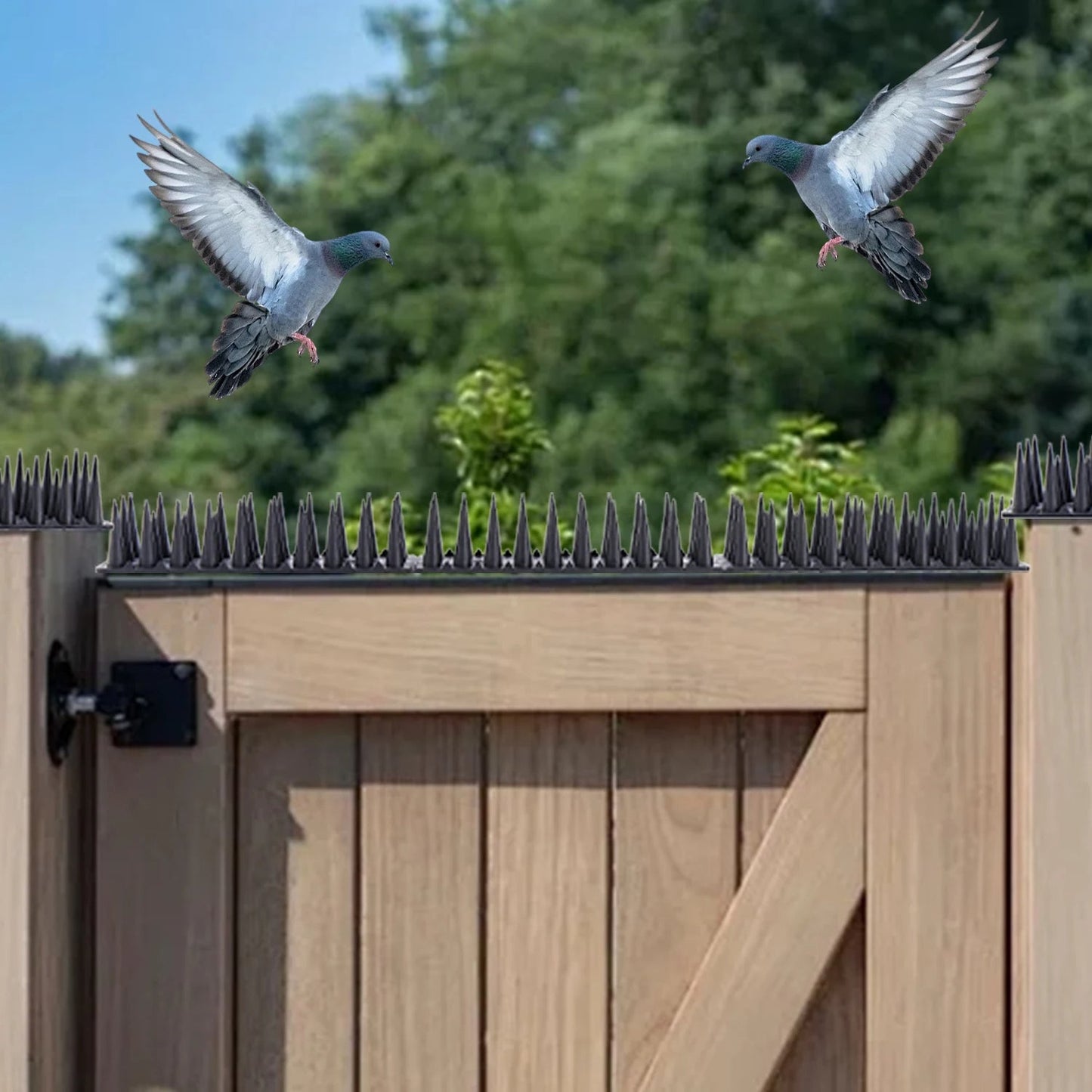 Effective Pigeon Deterrent Roof Spikes - Luxicro