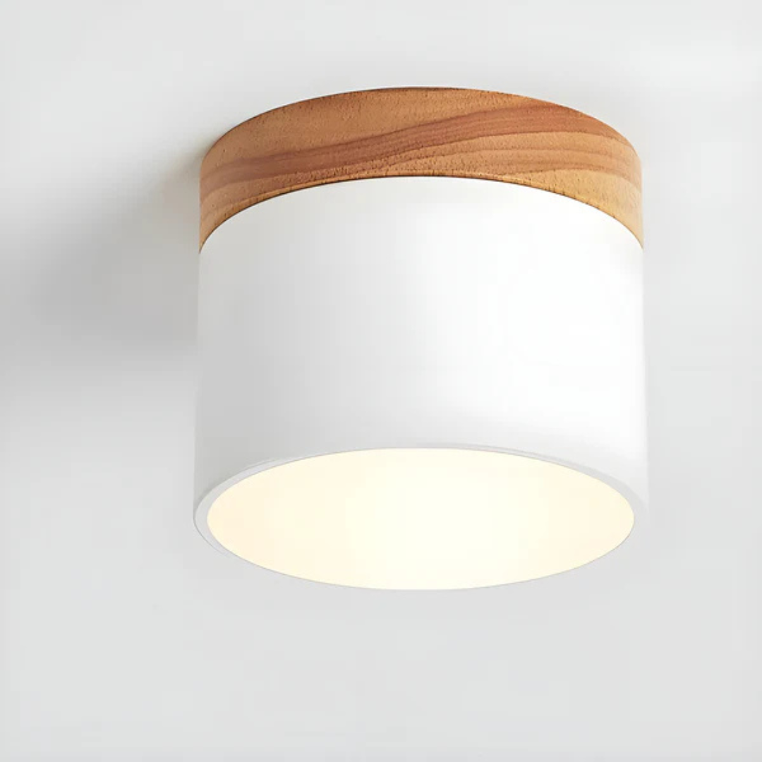 Classic Retro Style LED Ceiling Light