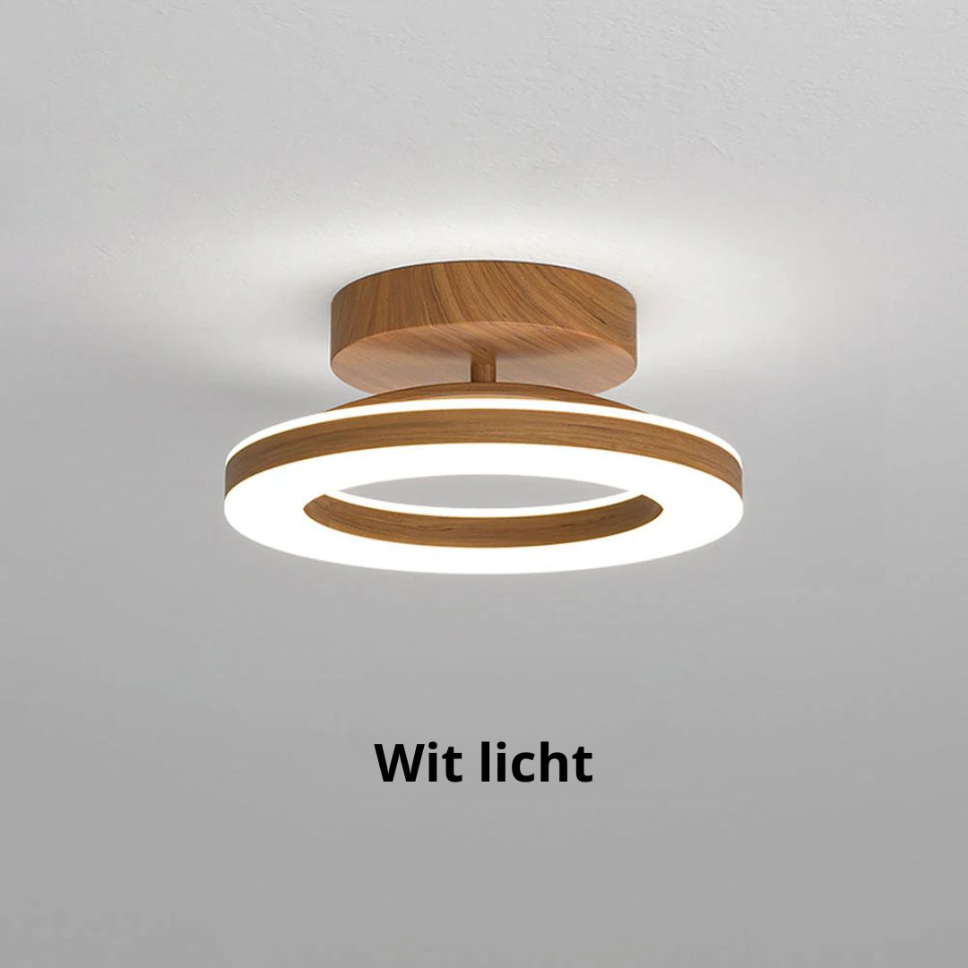 Round LED Overhead Light for Hall and Entrance