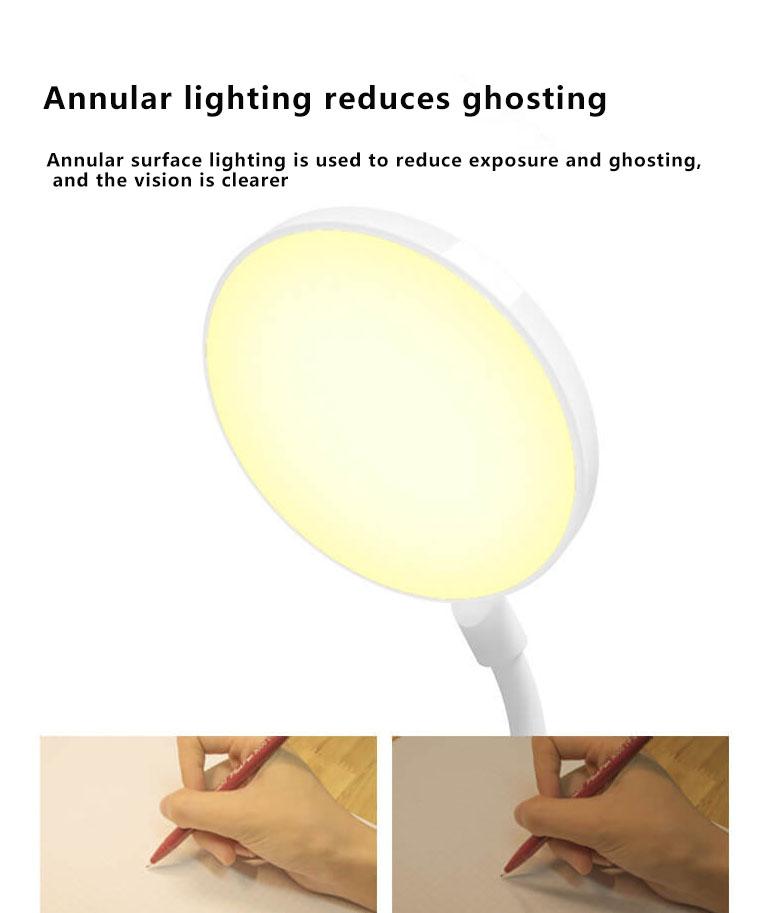 Compact Portable LED Desk Light with USB Recharge