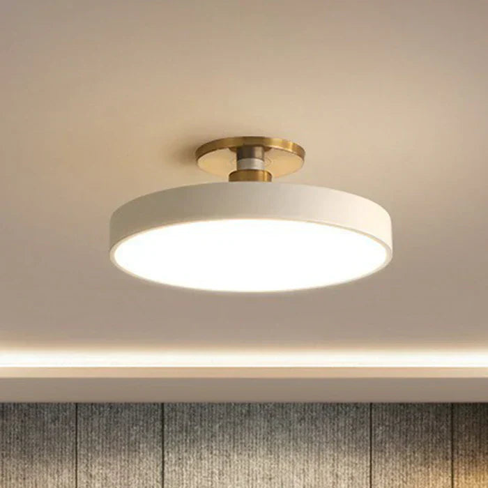 Contemporary LED Ceiling Lamp Scandinavian Style