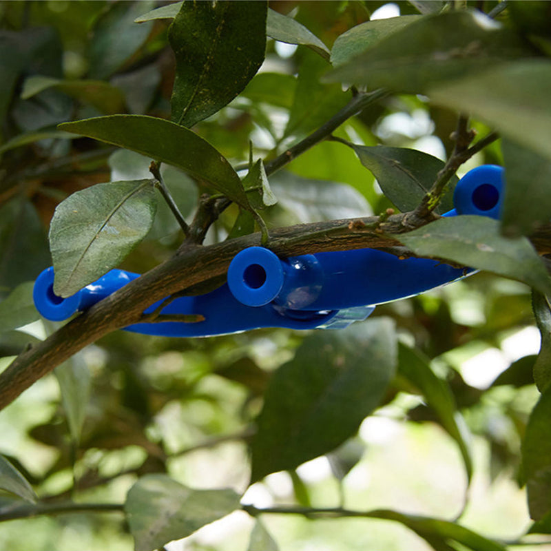 Secure Fixing Spray for Miniature Trees