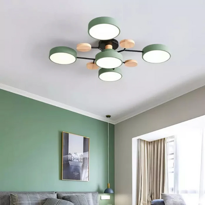 Modern Circular Overhead Lamp