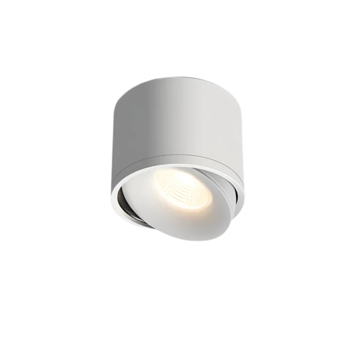 Stylish Contemporary Spin LED Ceiling Lamp