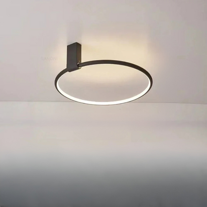 Bright Contemporary LED Ceiling Lamp For Home