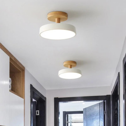 Modern Thin LED Ceiling Lamp