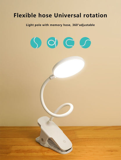 Compact Portable LED Desk Light with USB Recharge