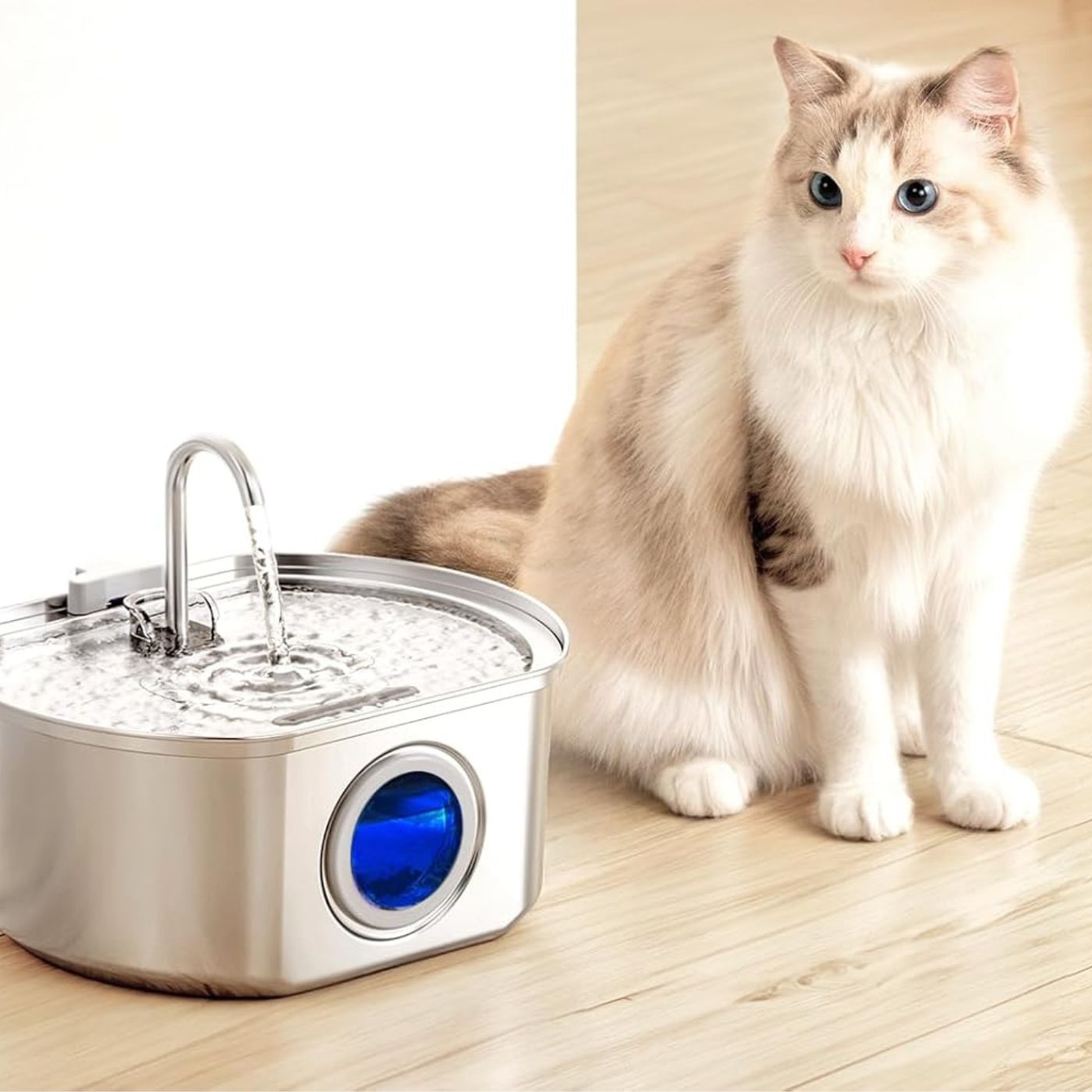 Easy Clean Pet Water Dispenser Fountain