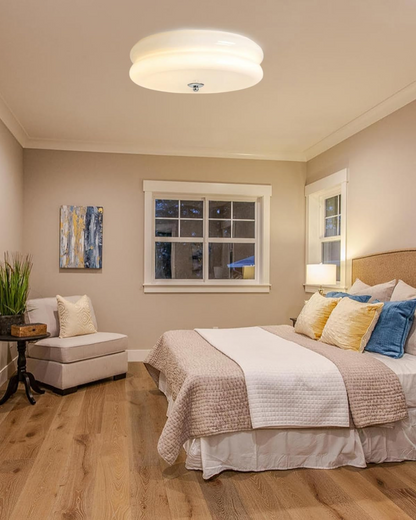 Modern Ceiling Lamp Sleek Design