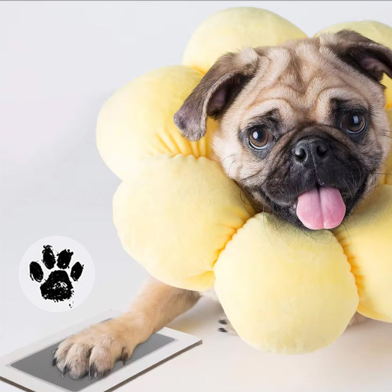Customizable Dog Paw Photo Frame