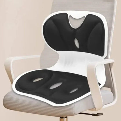 Comfortable Office Chair with Lumbar Support and Back Rest - Luxicro