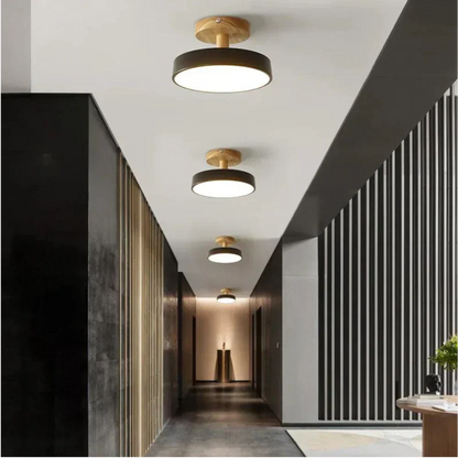 Modern Thin LED Ceiling Lamp
