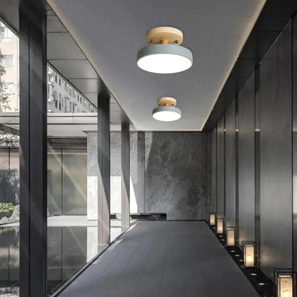 Modern Thin LED Ceiling Lamp