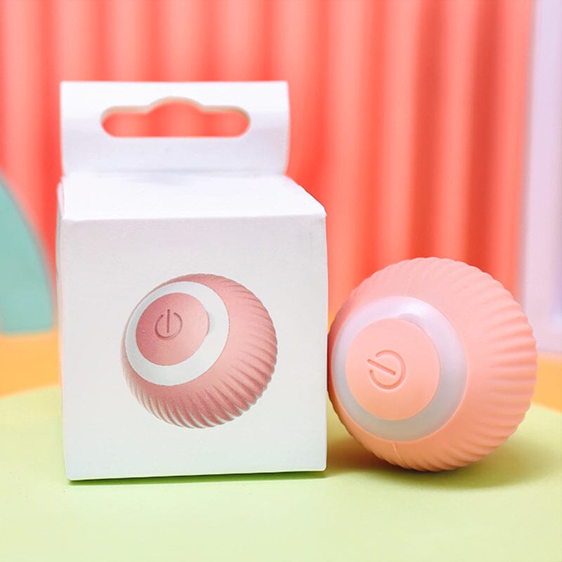 Fun Electronic Pet Ball Toy