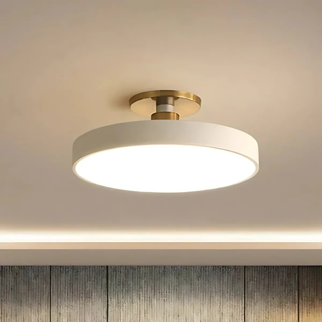 Contemporary Scandinavian LED Light Fixture