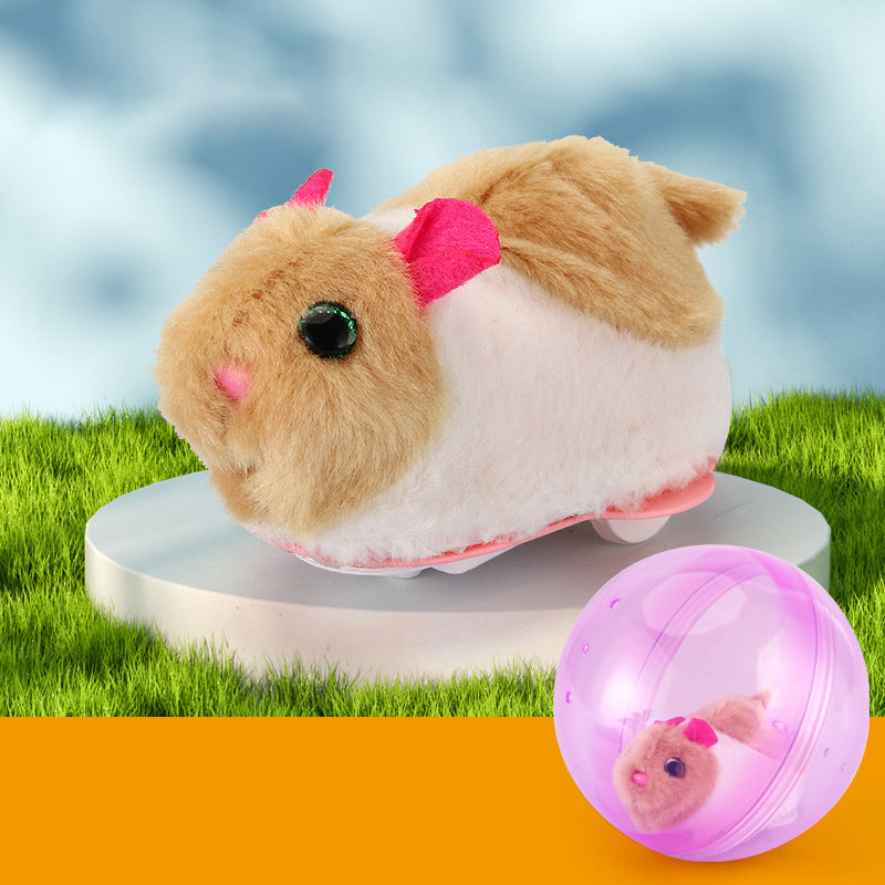 Bouncy Pet Play Ball Toy