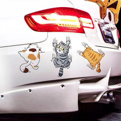 Funny Kitty Vehicle Decal Sticker