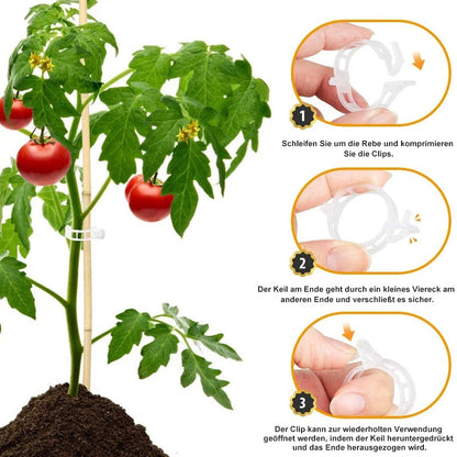 Easy Plant Stem Clip Holder - Luxicro