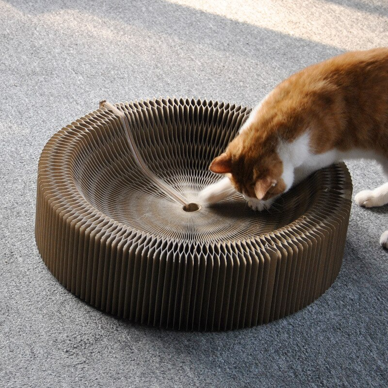 Collapsible Kitty Rest Bed Lounge