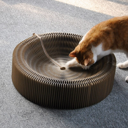 Foldable Cat Scratcher Bed Board