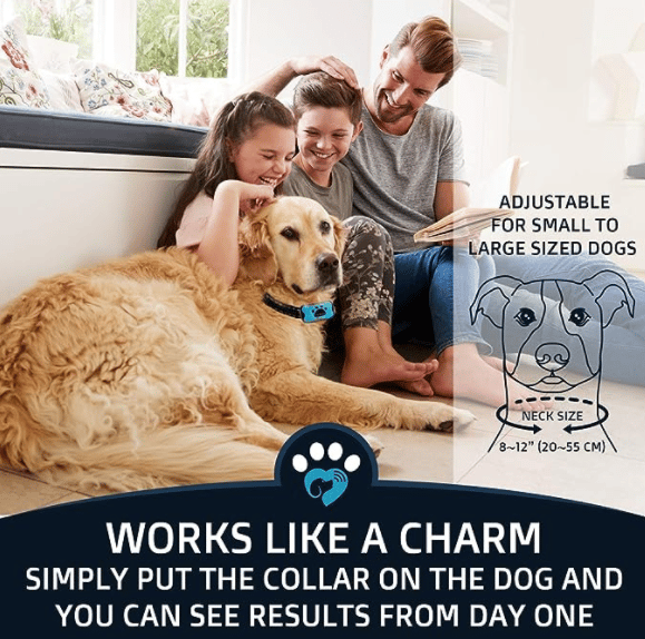Anti Bark Training Dog Collar