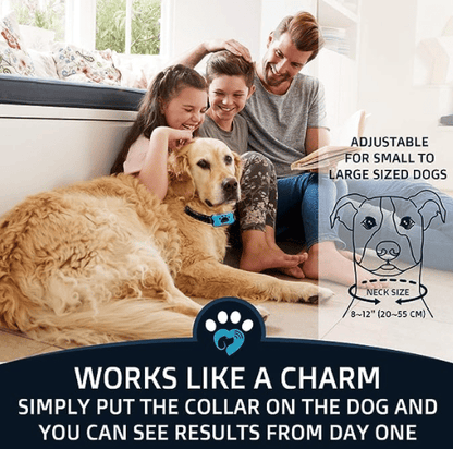 Anti Bark Training Dog Collar