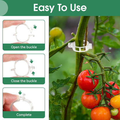 Simple Plant Supports for Tomatoes