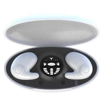 Wireless Bluetooth Earbuds
