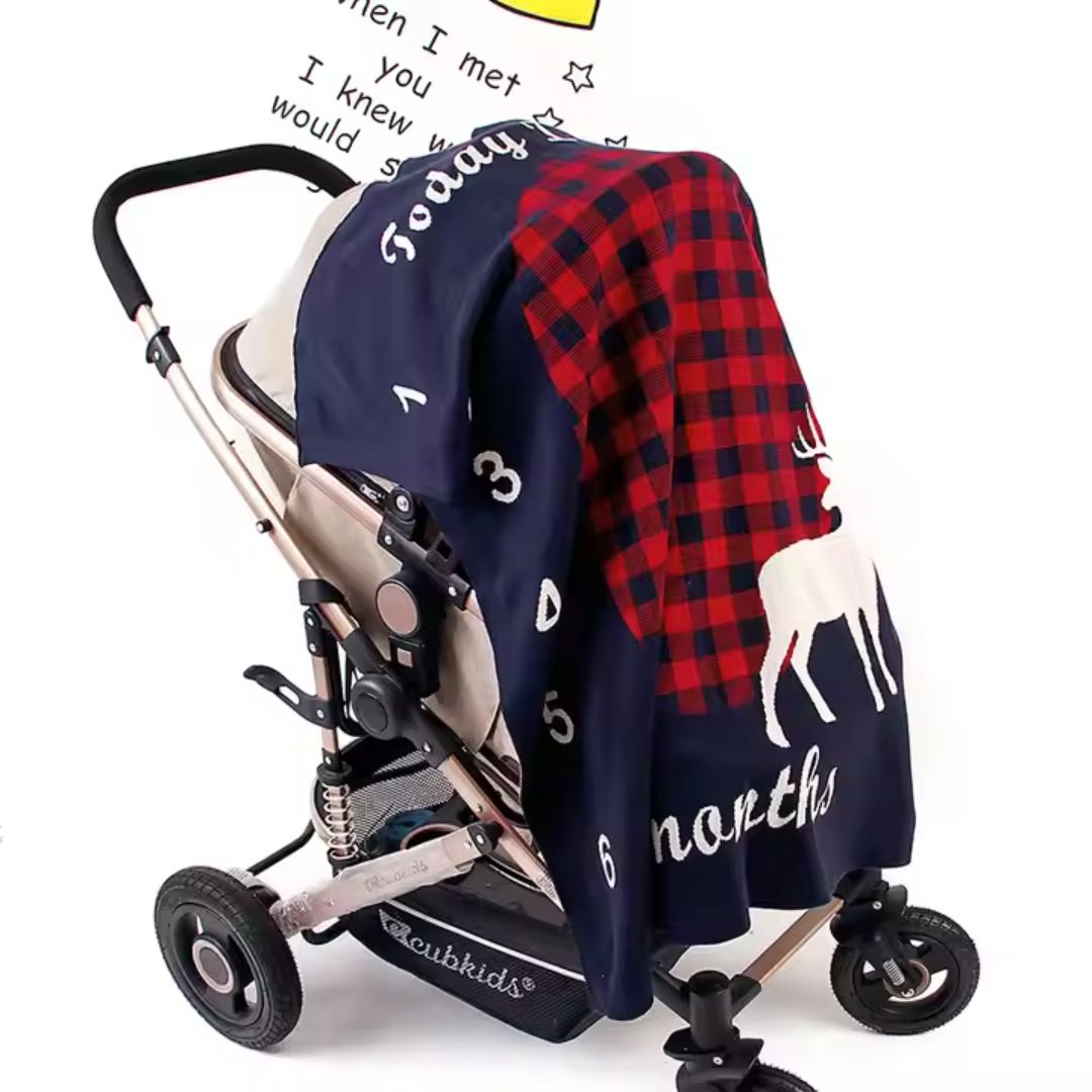 Custom Baby Blanket with Age Milestones