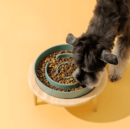 Pet Slow Eating Bowl for Dogs and Cats