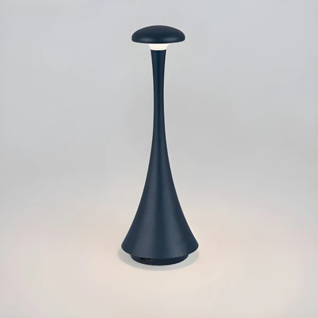Compact Adjustable Table Light