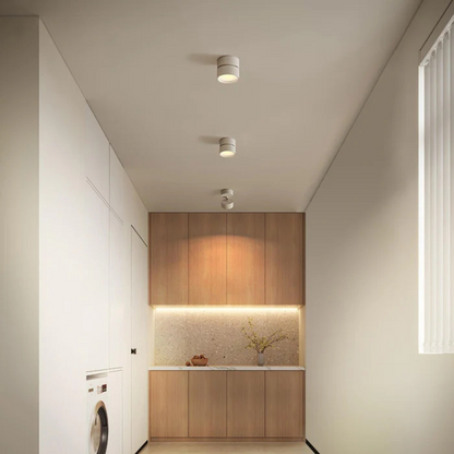 Adjustable Contemporary Ceiling LED Light