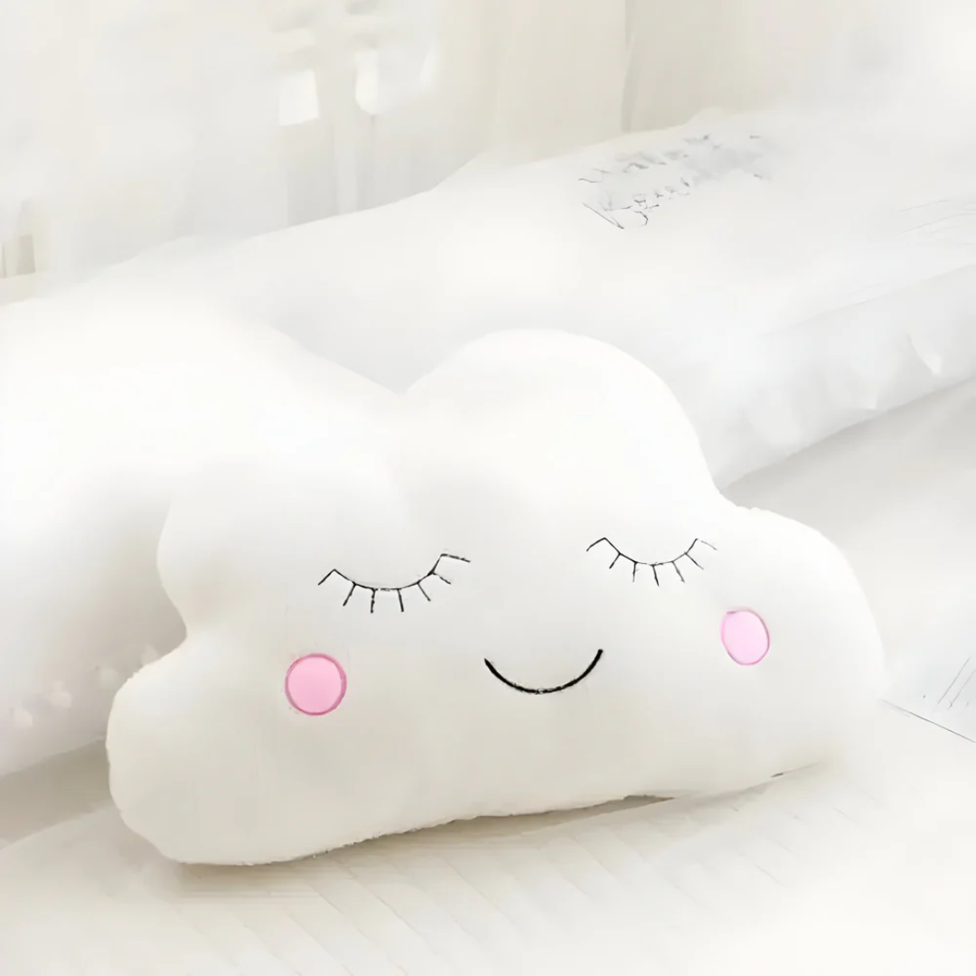 Plush Velvet Accent Pillow