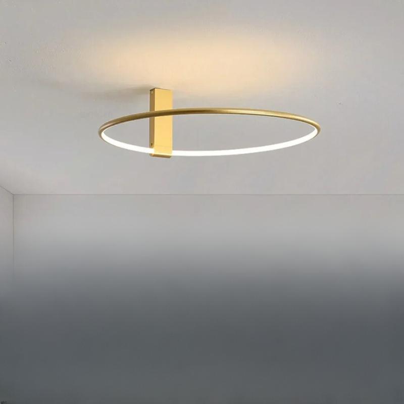 Bright Contemporary LED Ceiling Lamp For Home