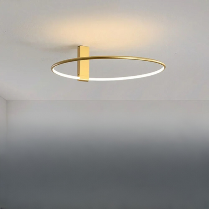 Bright Contemporary LED Ceiling Lamp For Home
