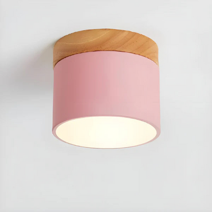 Classic Retro Style LED Ceiling Light