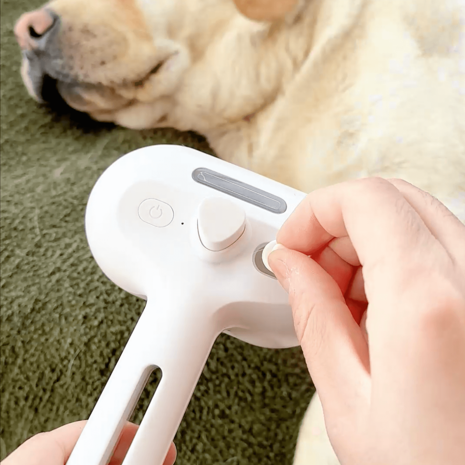 Easy Pet Grooming Steam Brush for Dogs - Luxicro