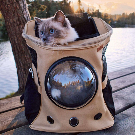 Breathable Cat Bubble Travel Backpack Carrier - Luxicro