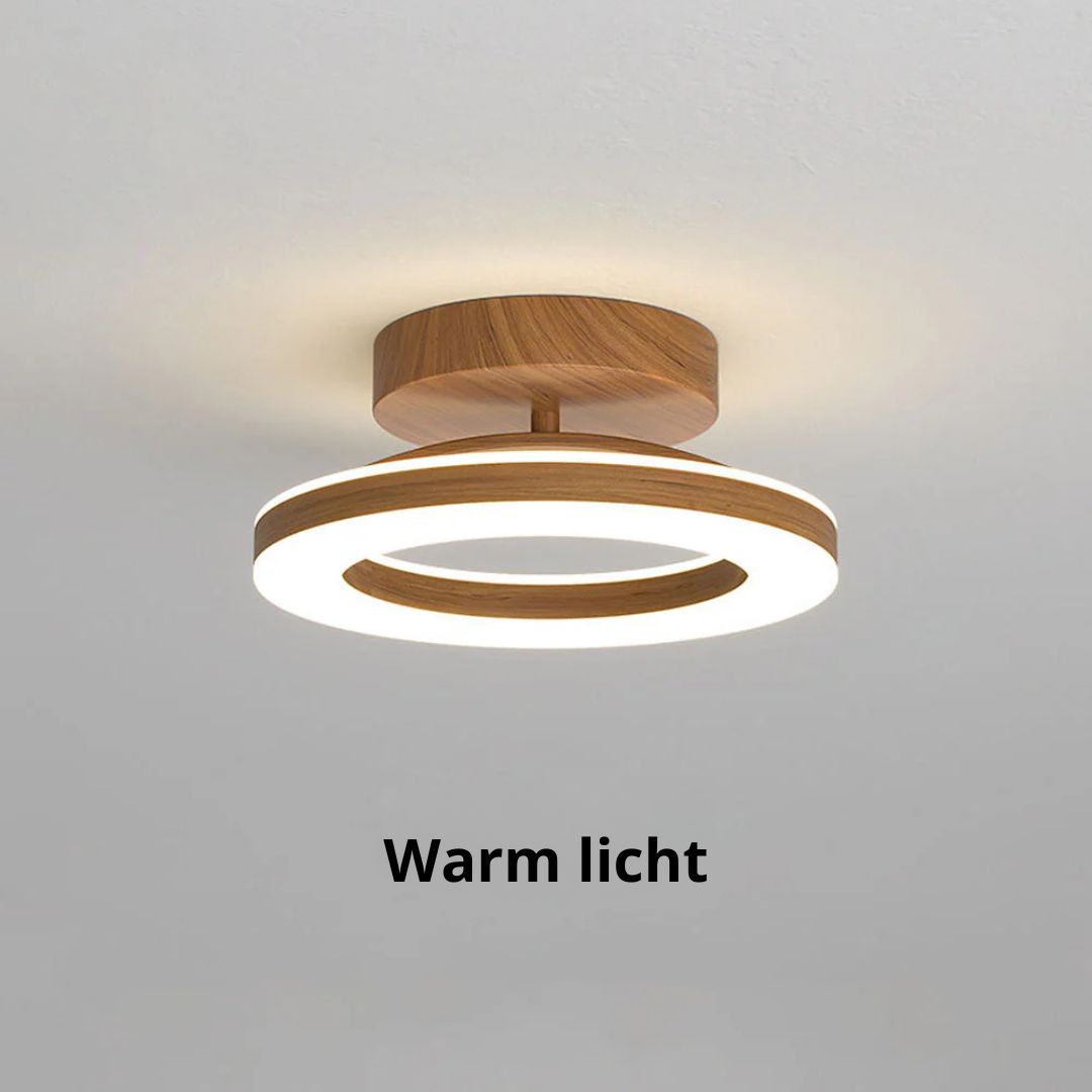 Round LED Overhead Light for Hall and Entrance