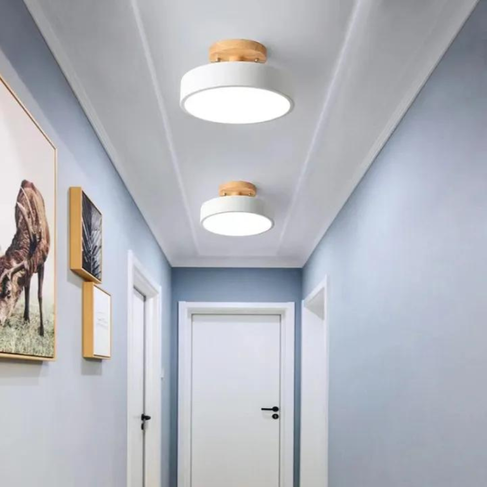 Modern Thin LED Ceiling Lamp