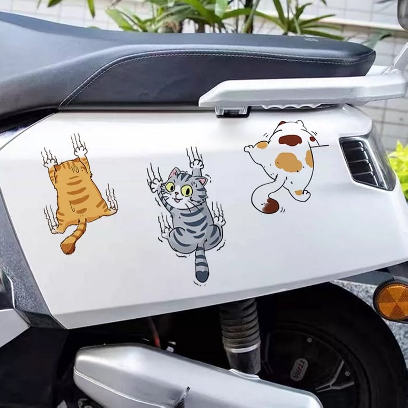 Funny Kitty Vehicle Decal Sticker