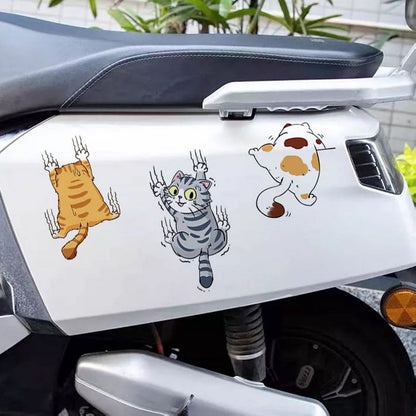 Funny Kitty Vehicle Decal Sticker