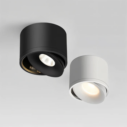 Stylish Contemporary Spin LED Ceiling Lamp