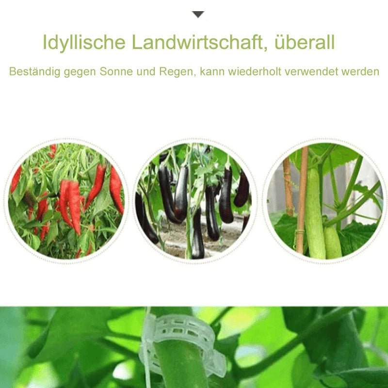 Easy Plant Stem Clip Holder