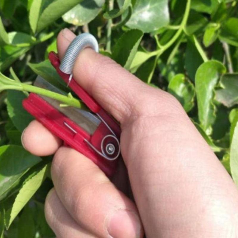 Simple Veggie Garden Harvesting Tool