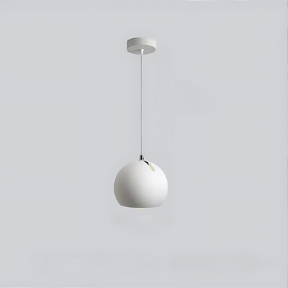Elegant Hanging Pendant Light Fixture